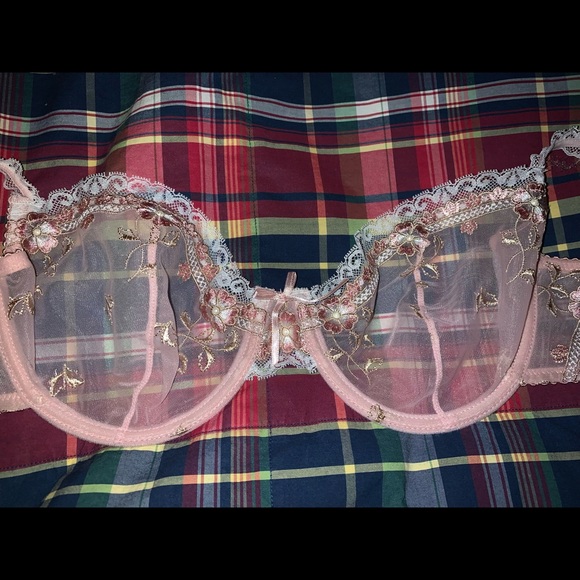 Pink Mesh Bra - Picture 1 of 4